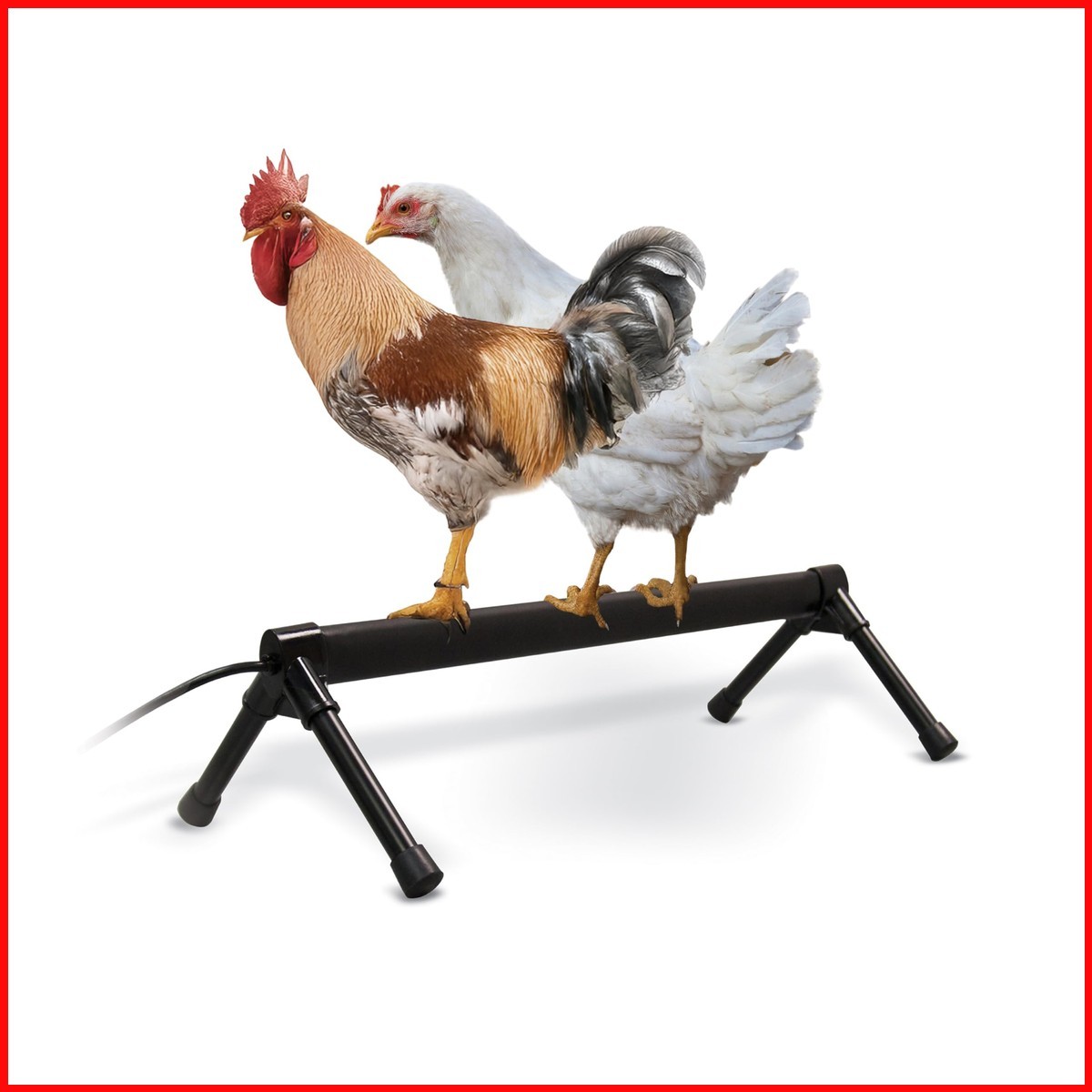 K&H Pet Products K&H Heated Chicken Perch, Thermo Heated Roosting Bar Coop