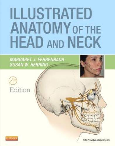 Illustrated Anatomy of the Head and Neck, 4th Edition - Paperback - GOOD Illustrated Anatomy of the Head and Neck, 4th Edition - Paperback - GOOD