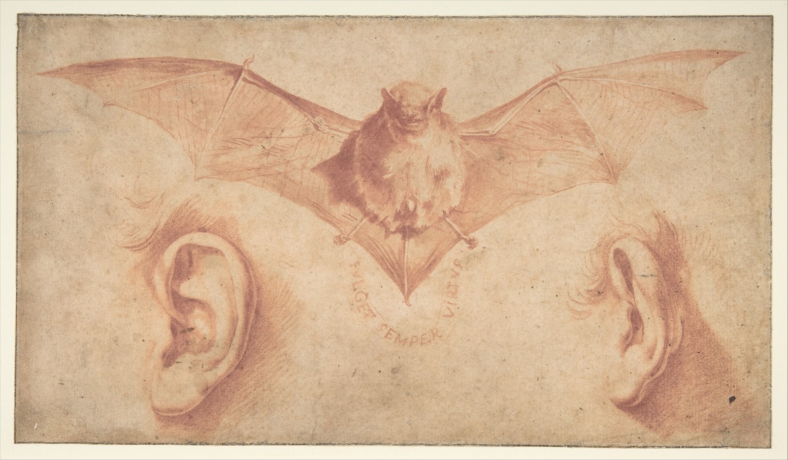 Jusepe de Ribera Vintage Anatomical Study Bat Ears Reprint Wall Art
