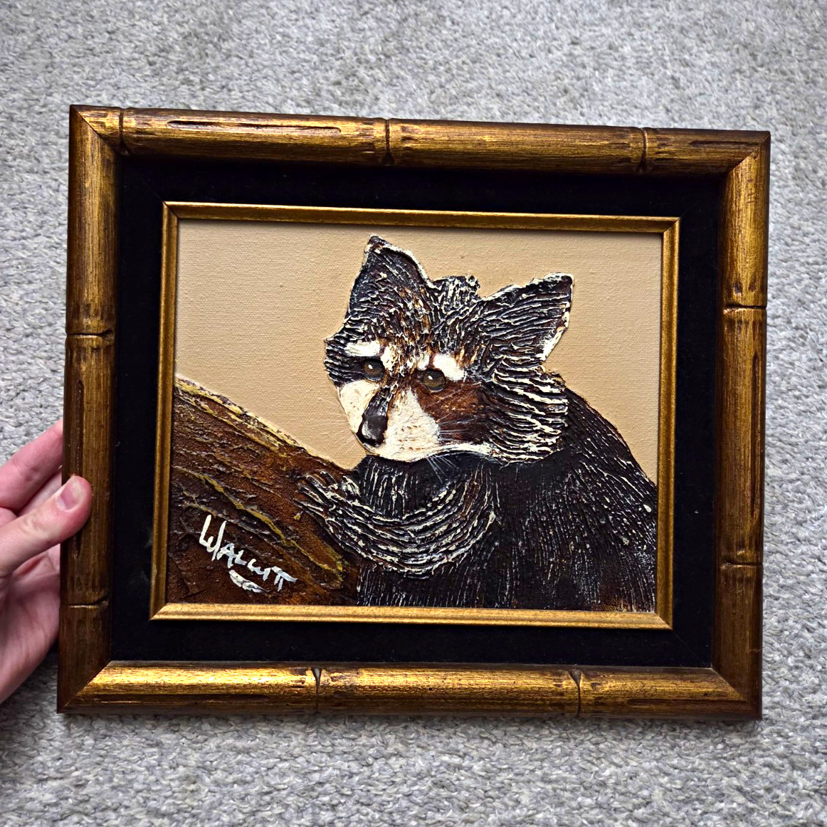 Frank Walcutt Raccoon 1980 Hand Painted Oil Art Print Artist Signed
