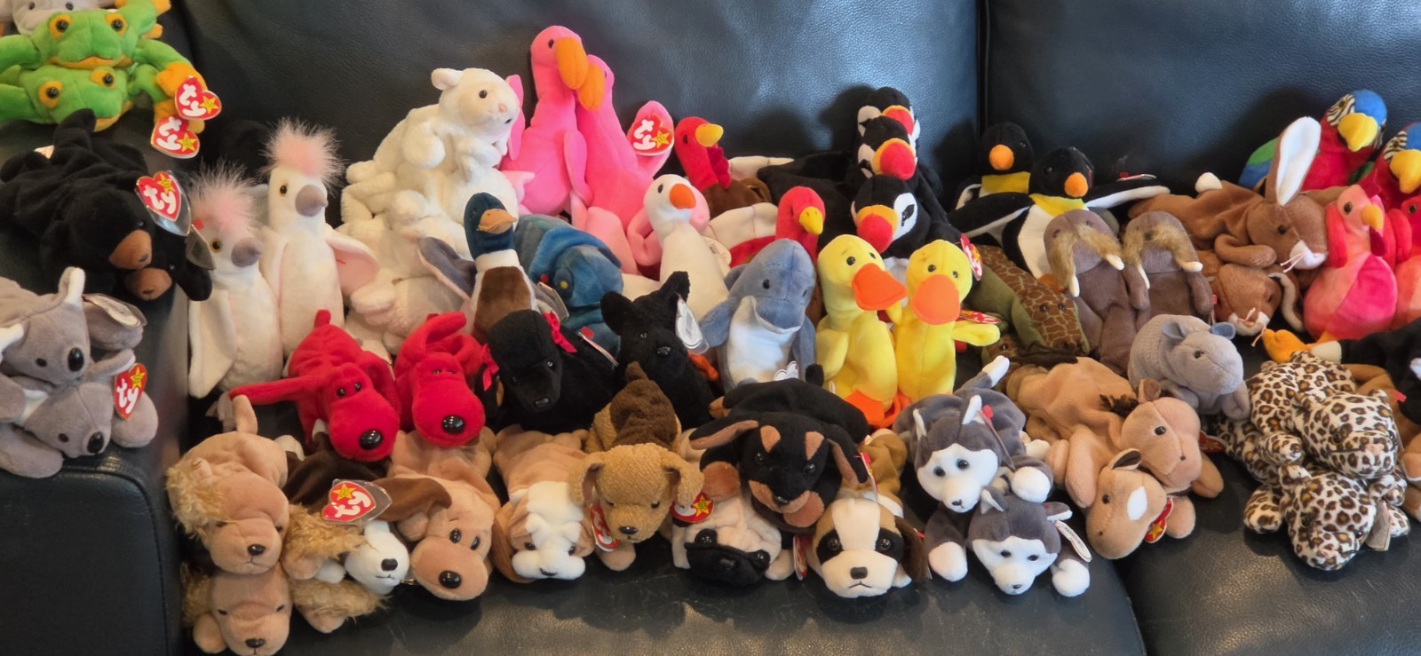 MASSIVE LOT Beanie Babies / McDonalds Beanie Babies - Over 200 Peices ALL W. TAG MASSIVE LOT Beanie Babies / McDonalds Beanie Babies - Over 200 Peices ALL W. TAG