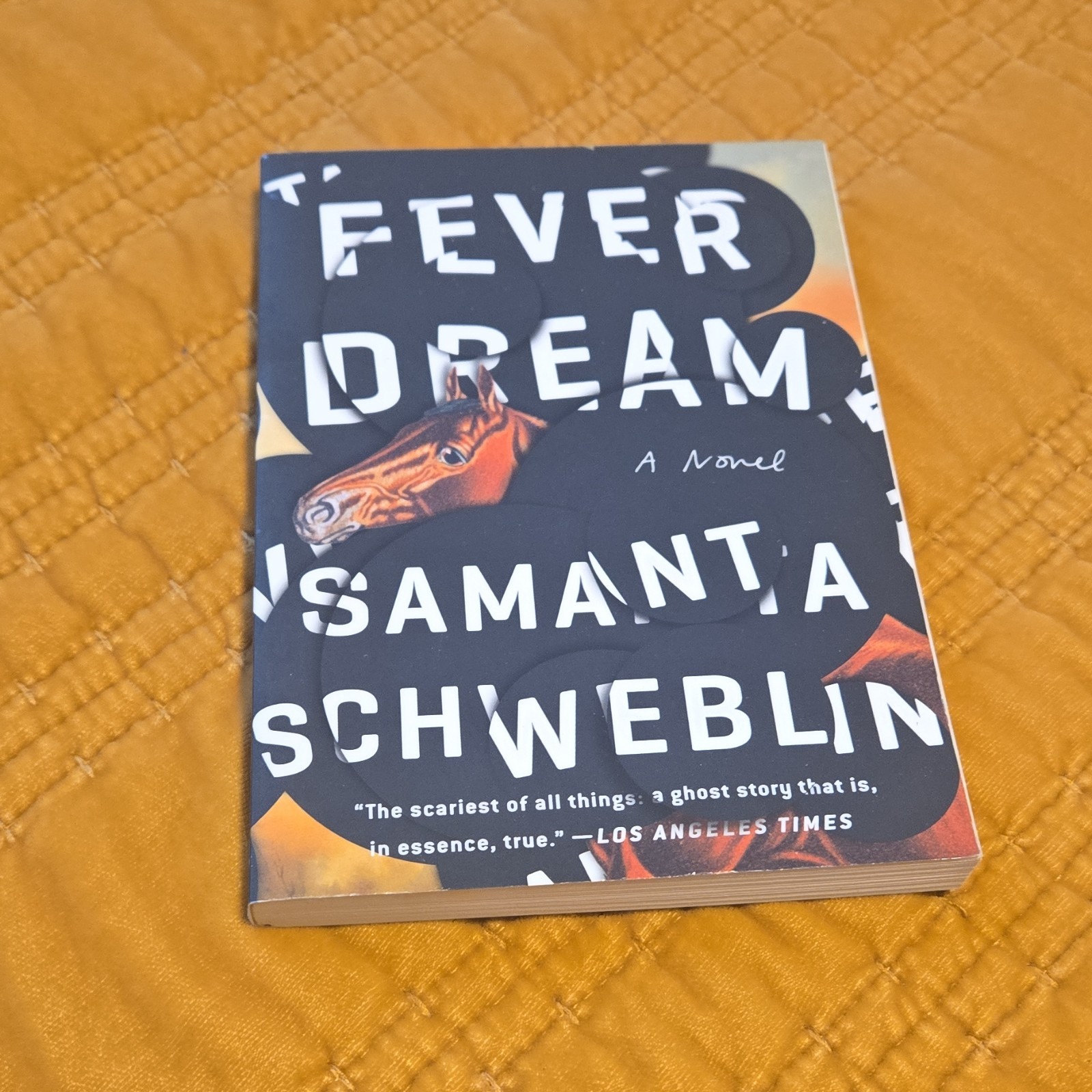 Fever Dream: A Novel, Samanta Schweblin