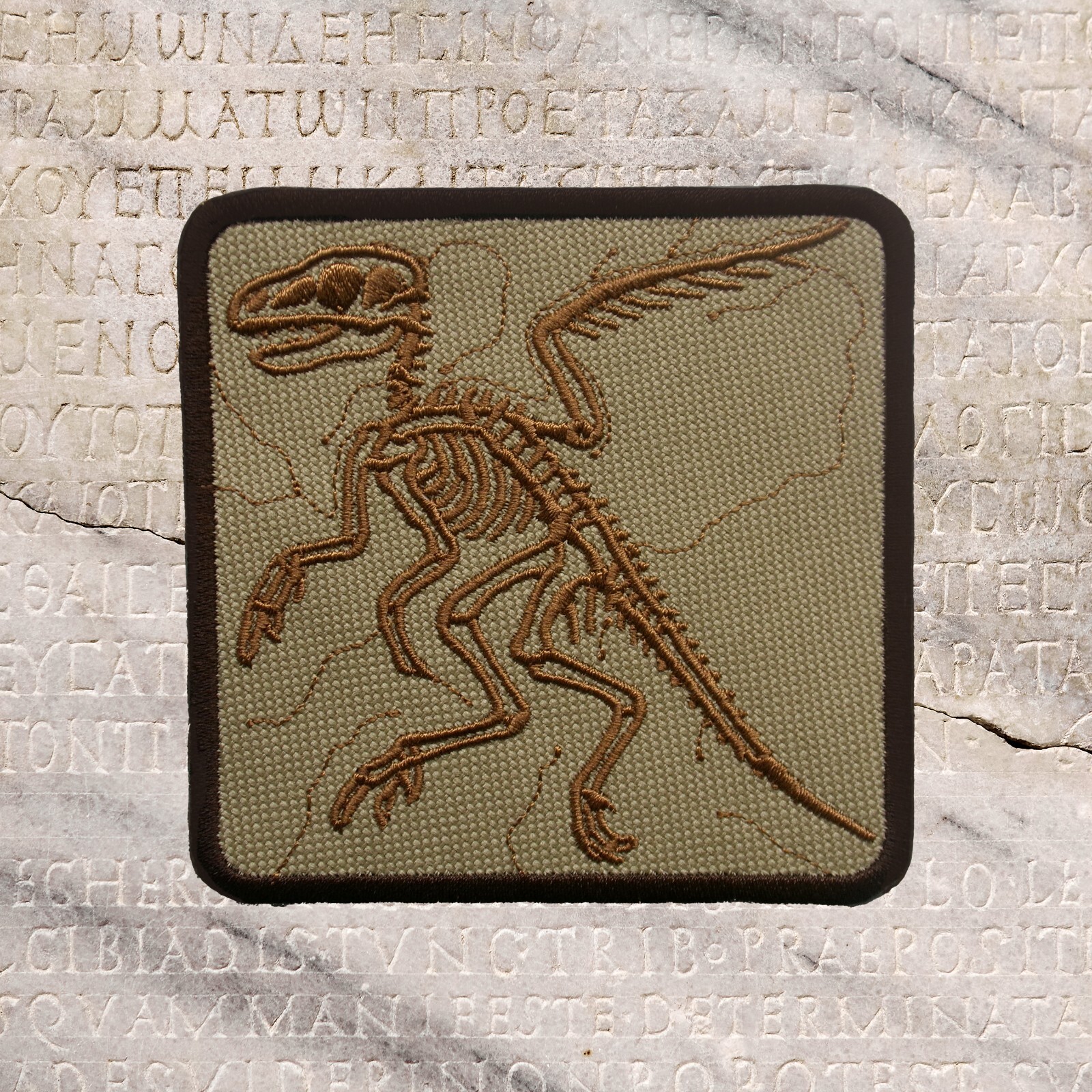 Archaeopteryx Embroidered Iron On Patch Ancient Wing Urvogel Dinosaur Arc'teryx