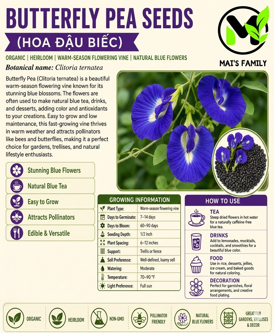 Butterfly Pea  Seeds (Clitoria Ternatea)- Hoa Đậu Biếc - Organic