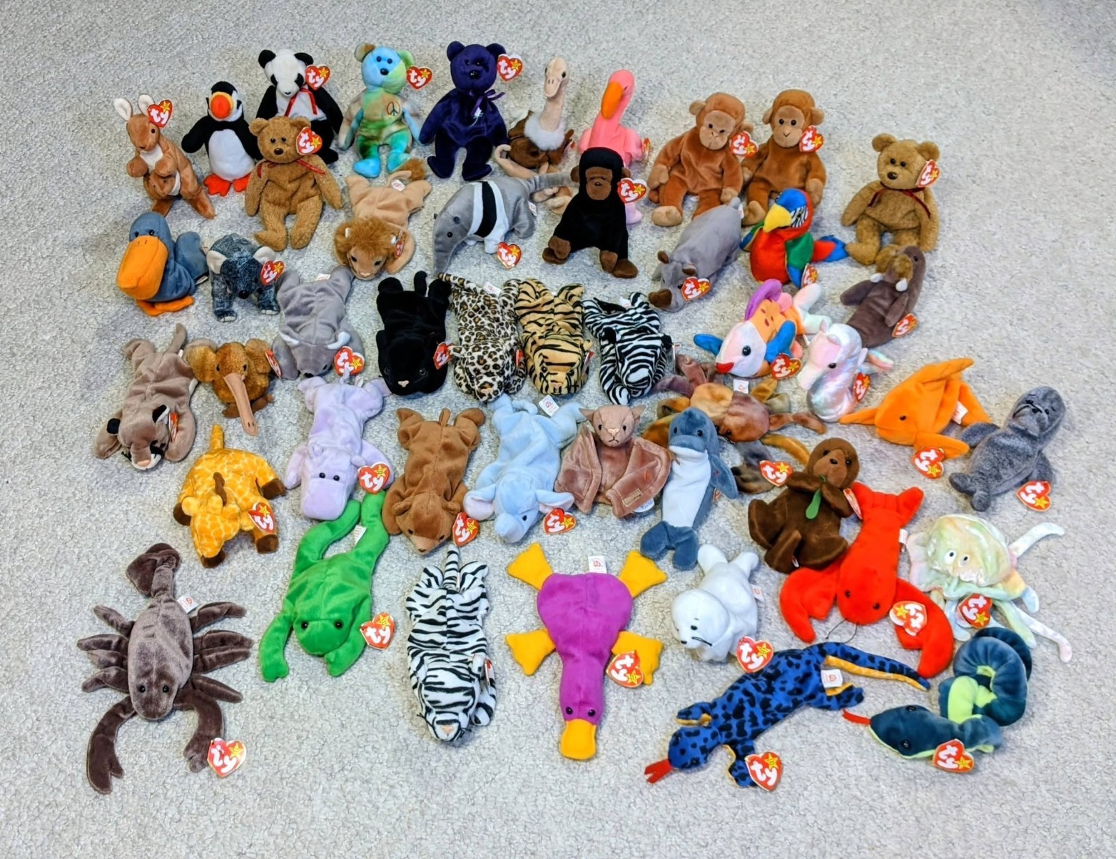 Ty Beanie Babies Zoo & Aquarium 50+Lot Vintage/Excellent Condition All W Tags