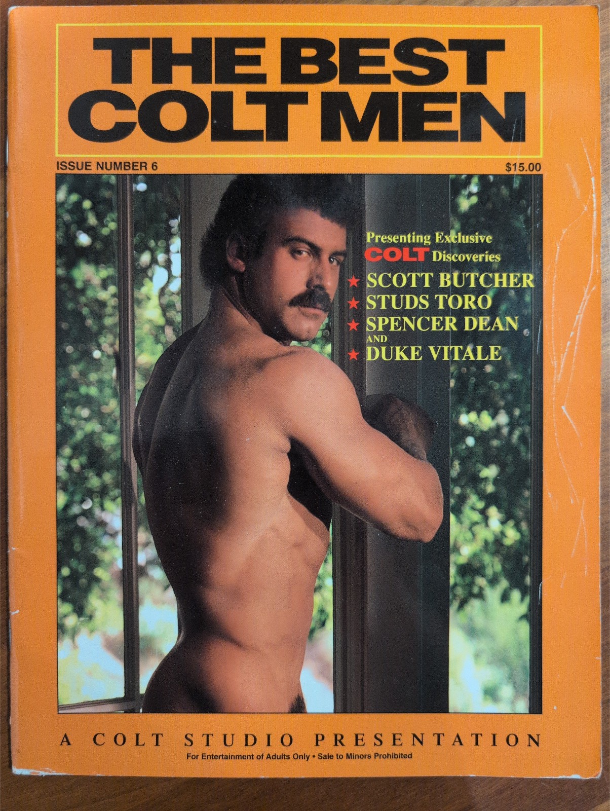 Vintage Gay Magazine BEST COLT MEN #6 1995 GAY INTEREST