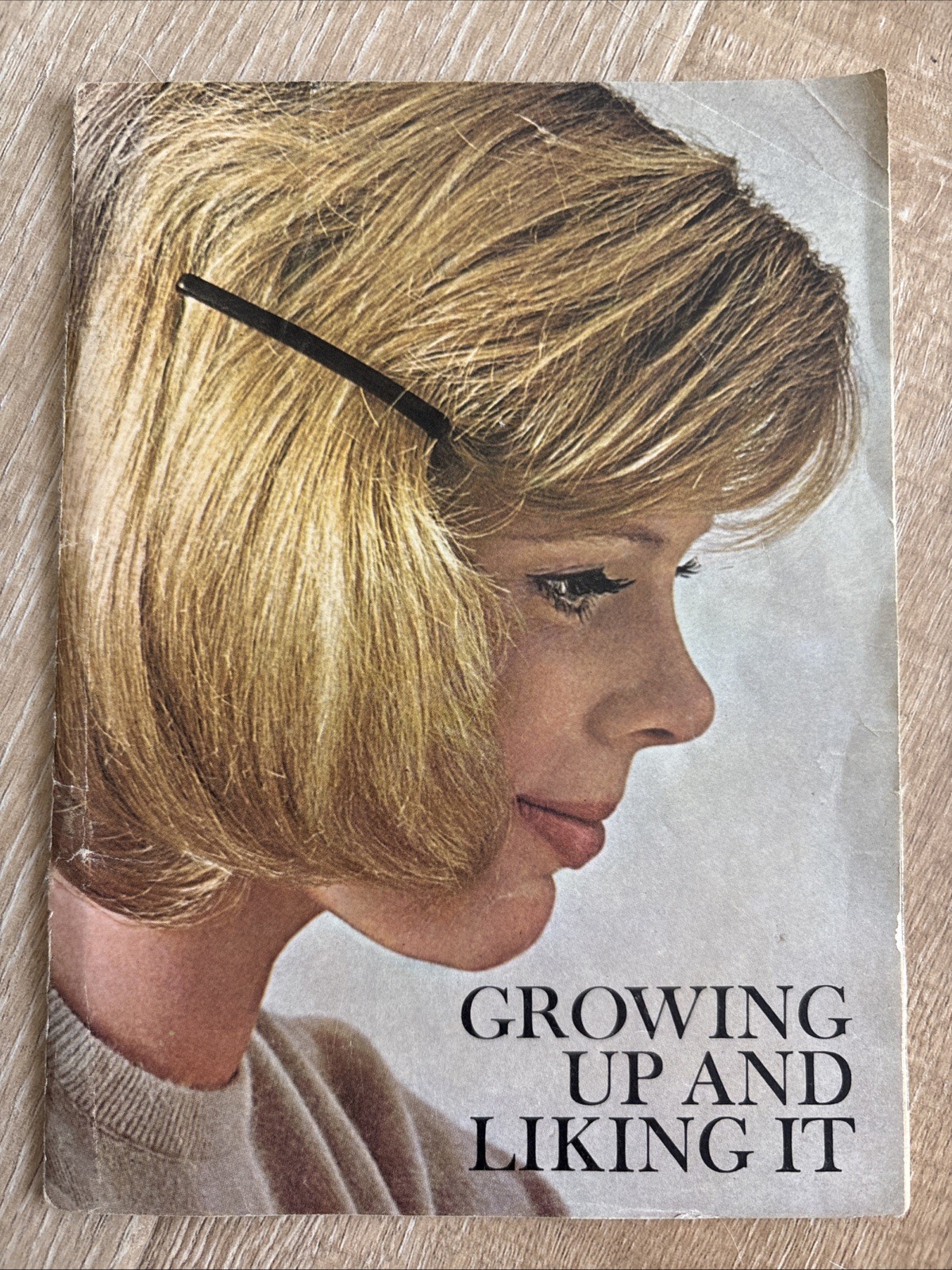 MODESS Growing Up And Liking It 1963 Vintage PPC Booklet Feminine Hygiene Advert MODESS Growing Up And Liking It 1963 Vintage PPC Booklet Feminine Hygiene Advert