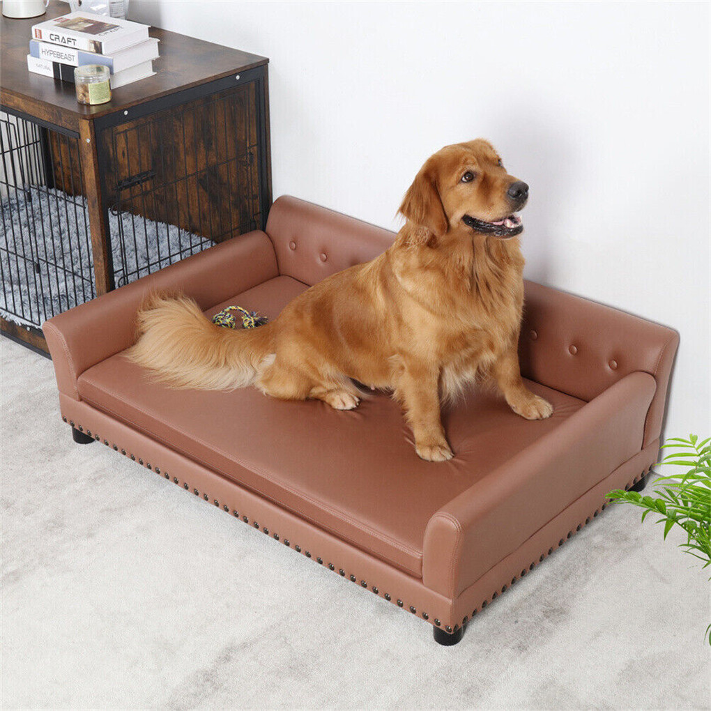 BingoPaw Large Dog Sofa Bed Luxury Velvet Elevated Couch Dog Orthopedic Sofa Bed