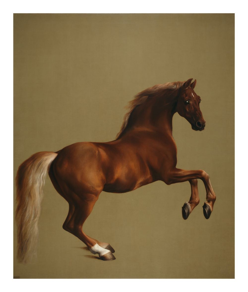 George Stubbs Whistlejacket : Archival Quality Giclée Art Print 1762