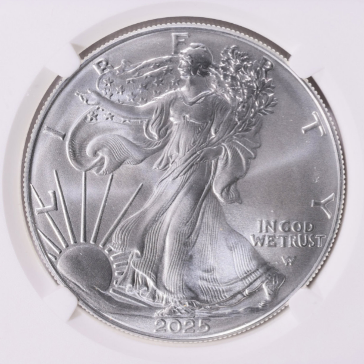 2025 $1 American Silver Eagle 1 oz Brilliant Uncirculated