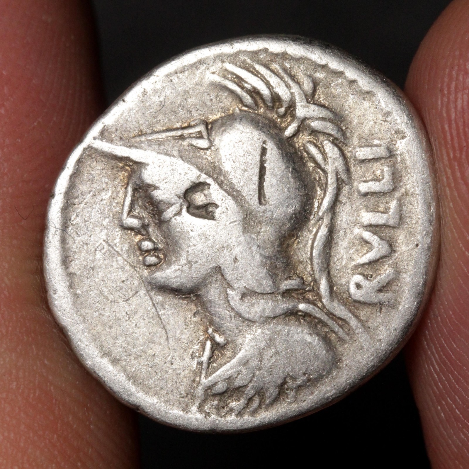 Minerva Denarius 100BC Ancient Roman Republic Silver Coin Rome Servilius Rullus