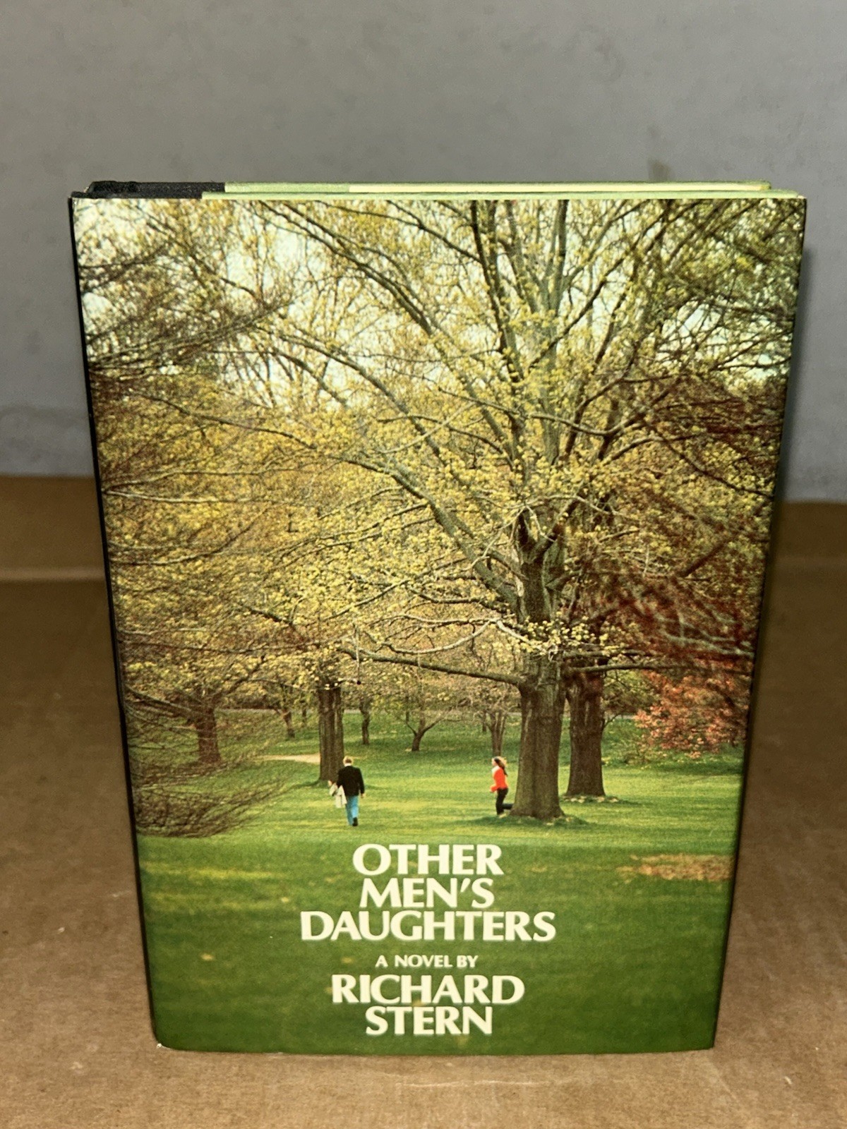 SIGNED 1973 Other Men’s Daughters By Richard Stern 1st Edition 1st Print HC + DJ