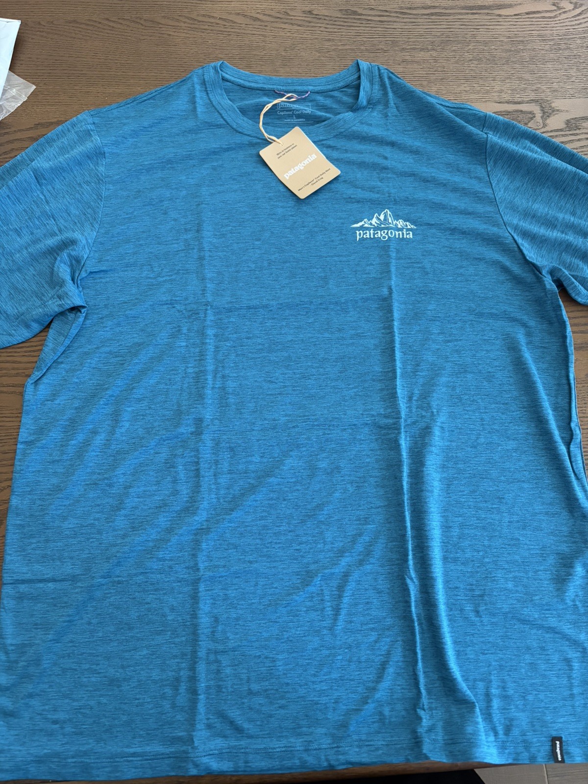 Patagonia Men’s Capilene Cool Daily Shirt Cloud Glacial Blue Size large New Tags
