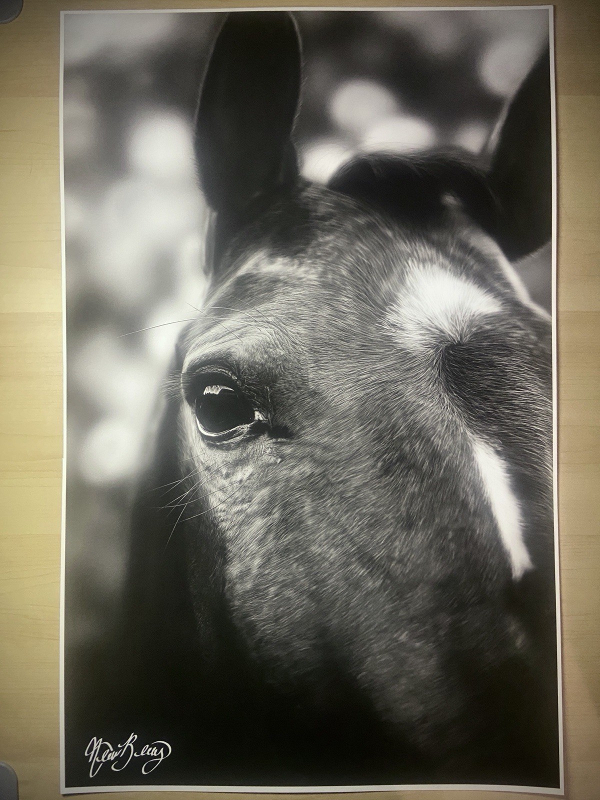 Original Horse Drawing, Signed and Dated Original Horse Drawing, Signed and Dated