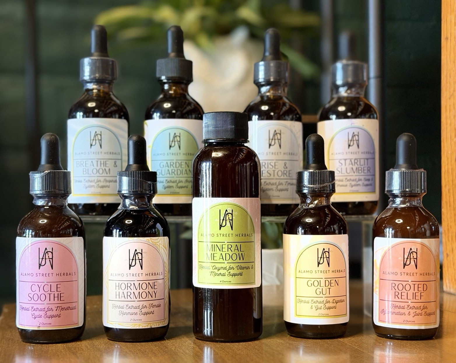 Alamo Street Herbals Whole Body Support Line - 9 products Alamo Street Herbals Whole Body Support Line - 9 products