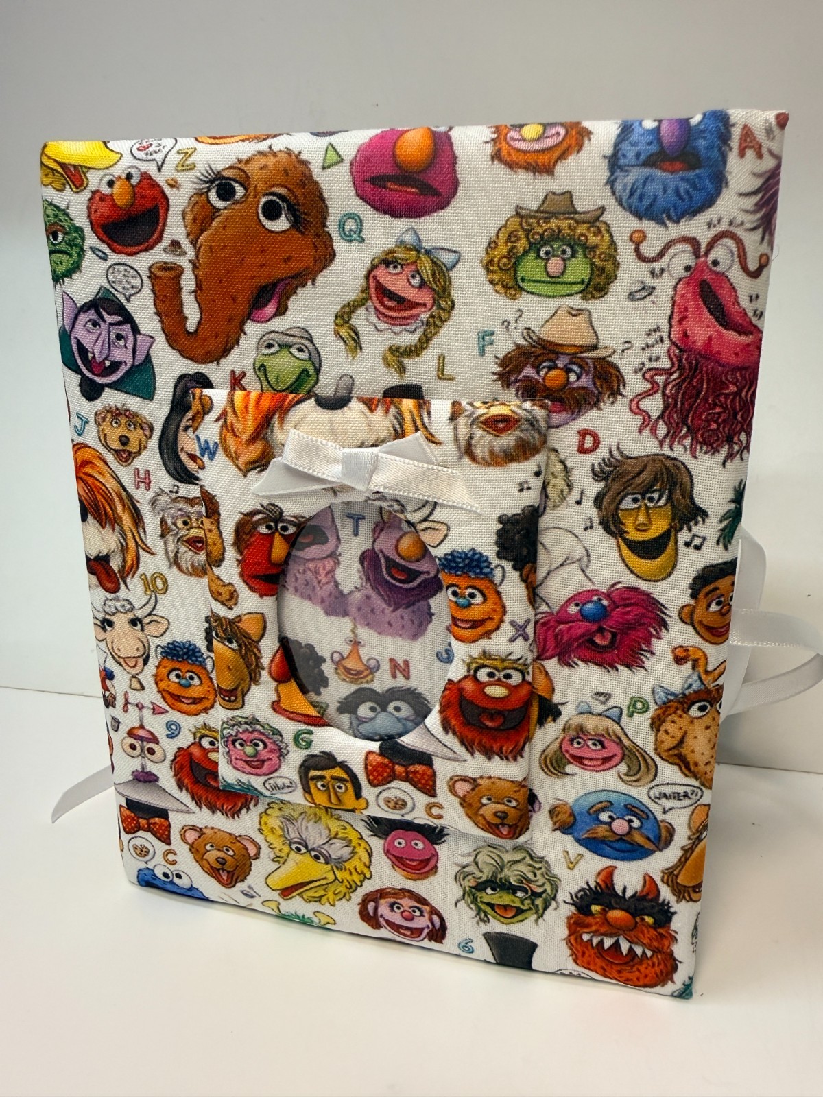 Super Cute Sesame Street Photo Album -Holds 100 4x6 Photos - Handmade