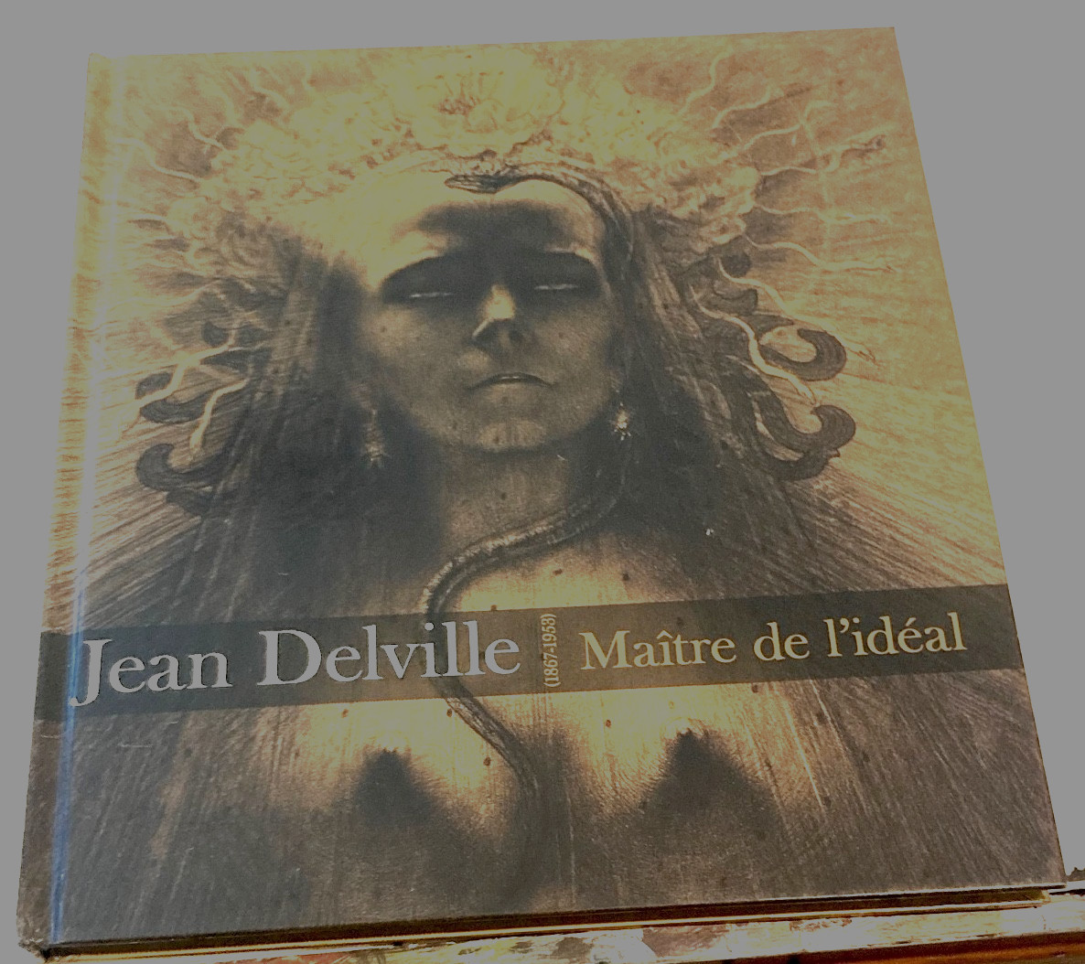 JEAN DELVILLE 1867-1953 MAINTRE DE L\'IDEAL / 1st Edition 2014 JEAN DELVILLE 1867-1953 MAINTRE DE L\'IDEAL / 1st Edition 2014