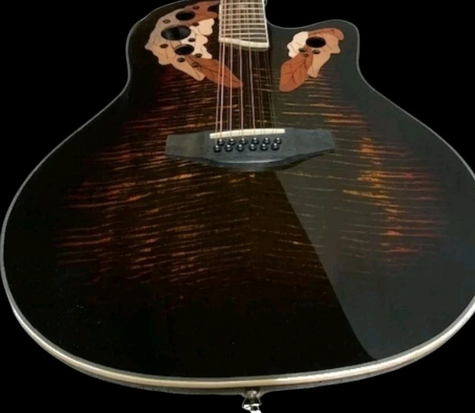 New 12 String Acoustic/Electric Guitar-Beautiful Flame Top-Full-Size