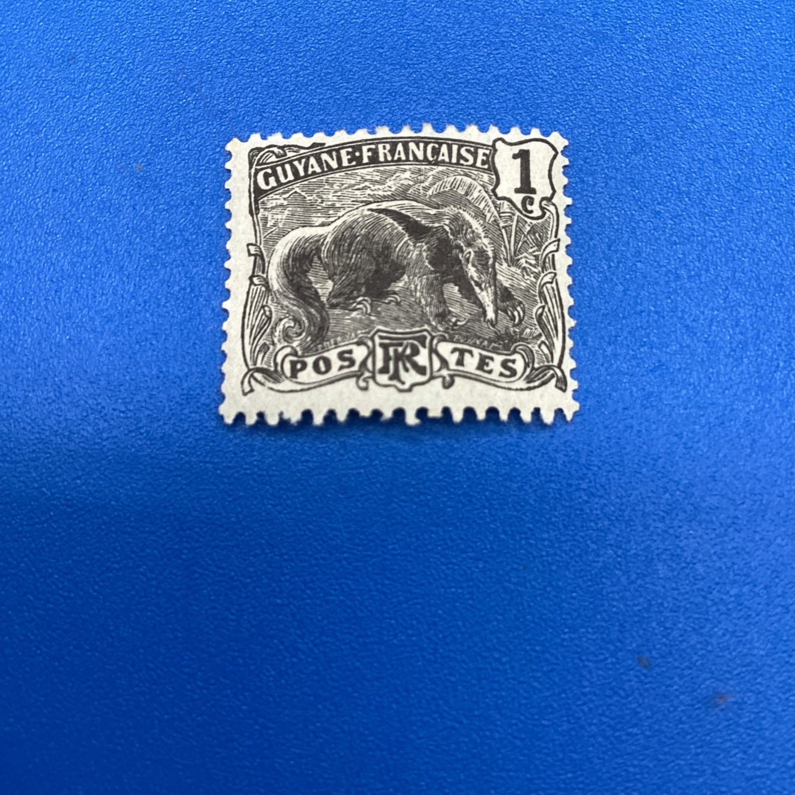 French Guiana 1c Anteater Stamp - Mint Lightly Hinged MLH (Colonial Issue)