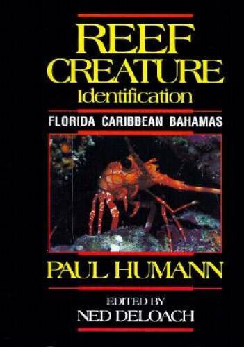 Reef Creature Identification: Florida Caribbean Bahamas - Plastic Comb - GOOD Reef Creature Identification: Florida Caribbean Bahamas - Plastic Comb - GOOD