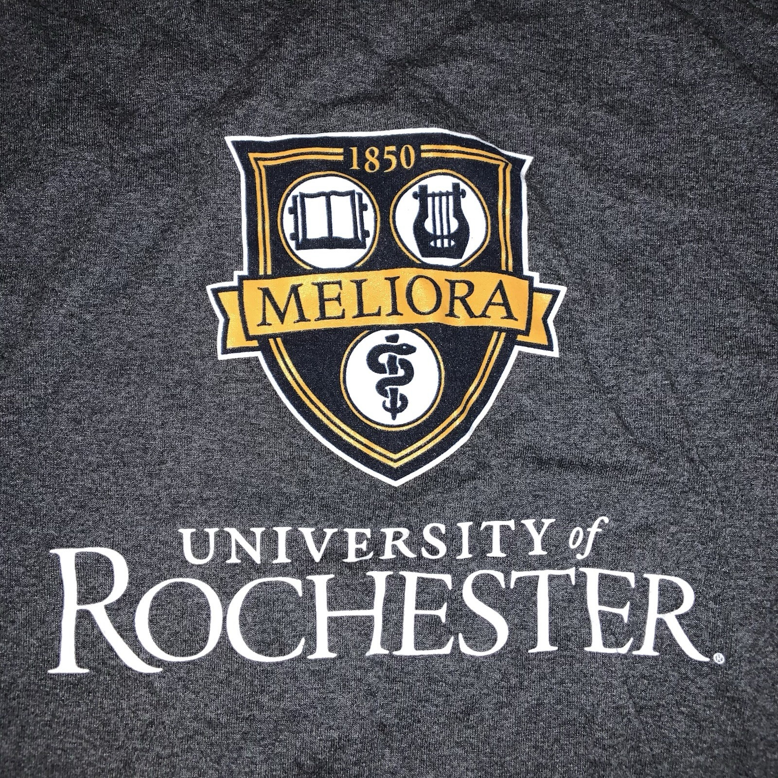 Rare Champion Grey University of Rochester Long Sleeve Sweater “Meliora” Logo