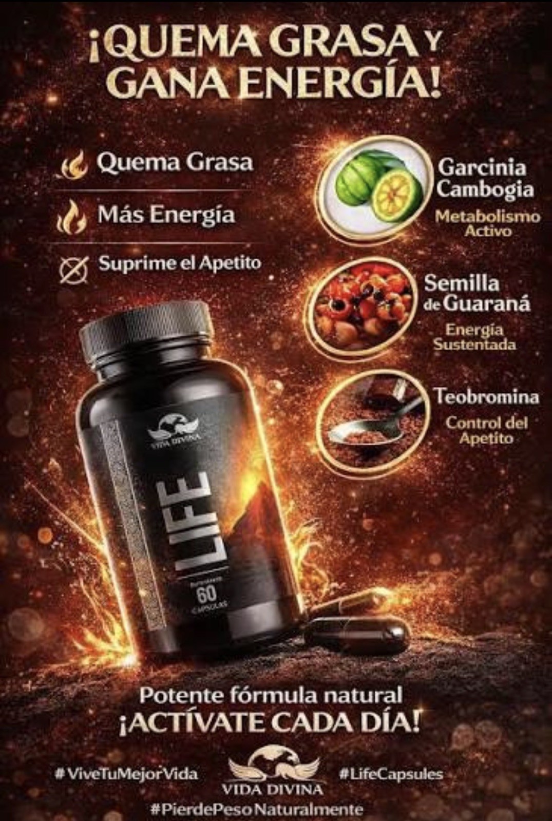 LIFE Capsules (60). All-Natural Organic Weight Control Supplement. LIFE Capsules (60). All-Natural Organic Weight Control Supplement.