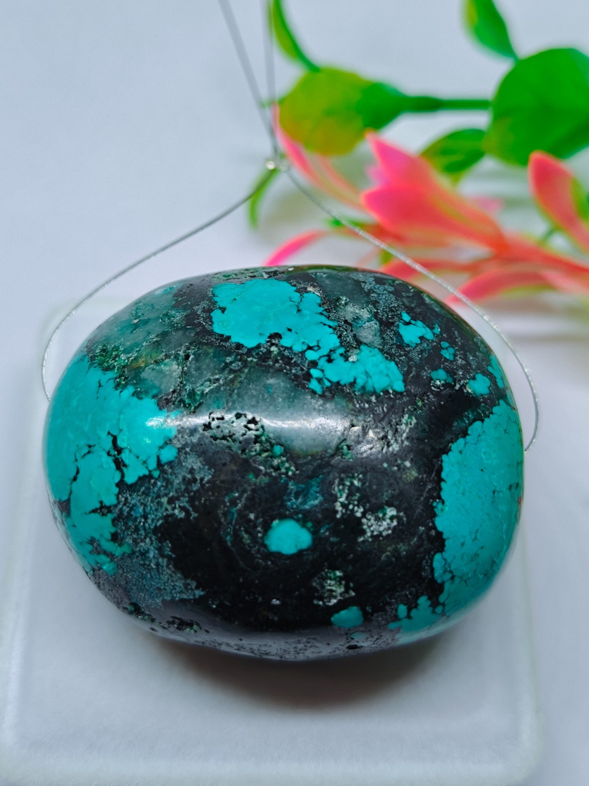 UNIQUE BIG Hubie Turquoise Oval Beads 263 Ct Polished Gemstone Loose Bead Tumble