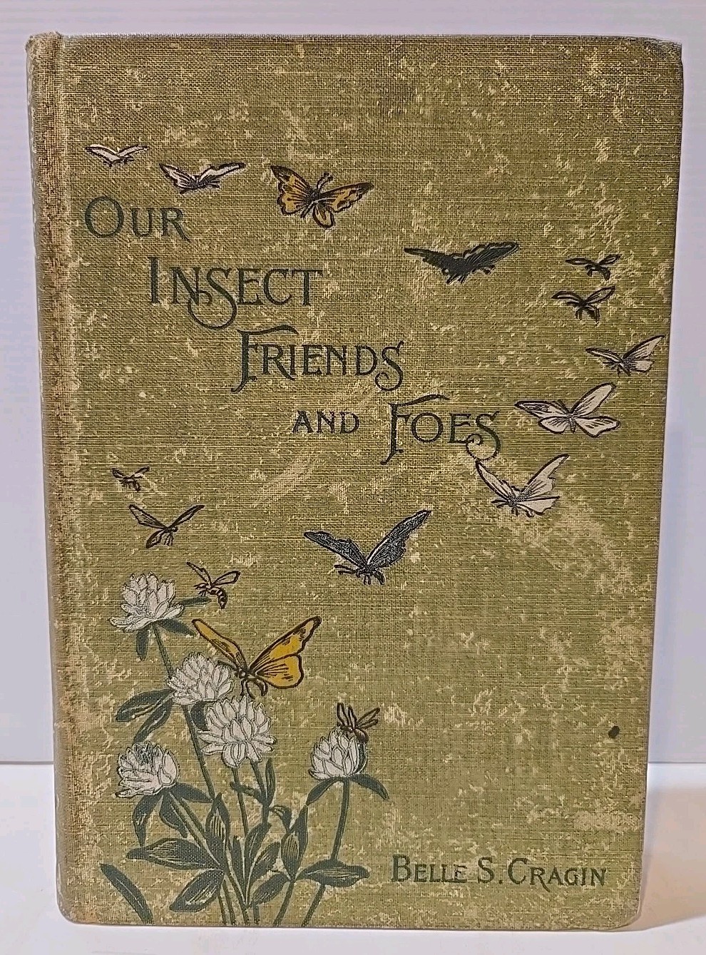 Our Insect Friends and Foes 1899 1st Printing - Belle S. Cragin - G.P. Putnam\'s