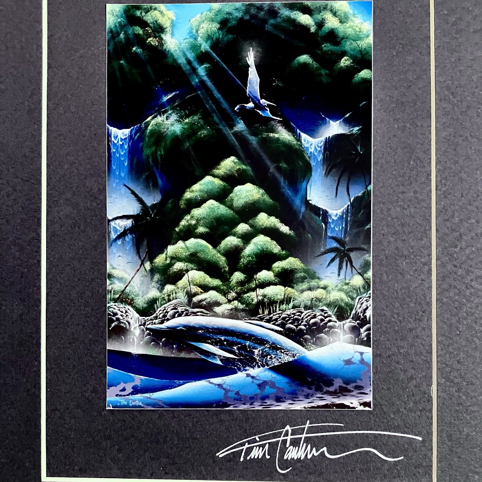 TIM CANTOR Cibachrome Print / RARE 1990s Signed / DOLPHIN Fantasy / 9x12 FRAMED