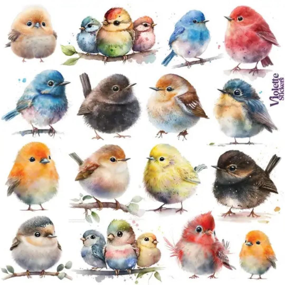 Violette Stickers Chubby Birds Sticker Sheet Cute Baby Bird Journal Craft Supply Violette Stickers Chubby Birds Sticker Sheet Cute Baby Bird Journal Craft Supply