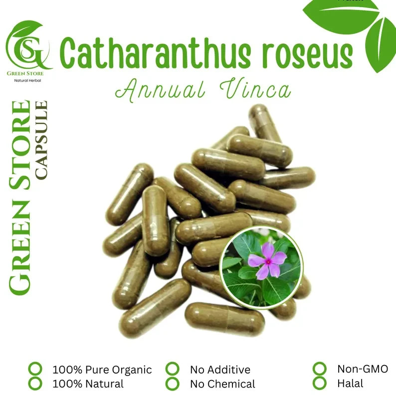100-1000 CAPSULES Catharanthus roseus, Periwinkle Madagascar periwinkle @600mg