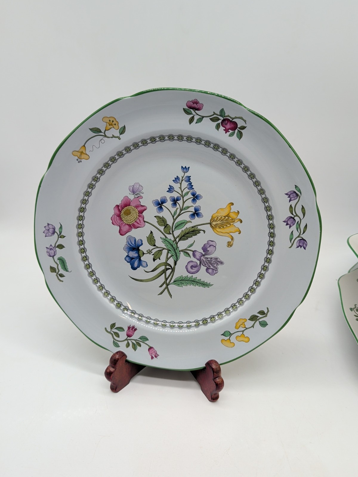 Spode Summer Palace -  10.25\