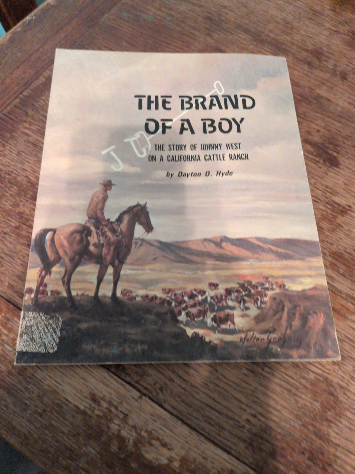The Brand Of A Boy By Dayton O.Hyde
