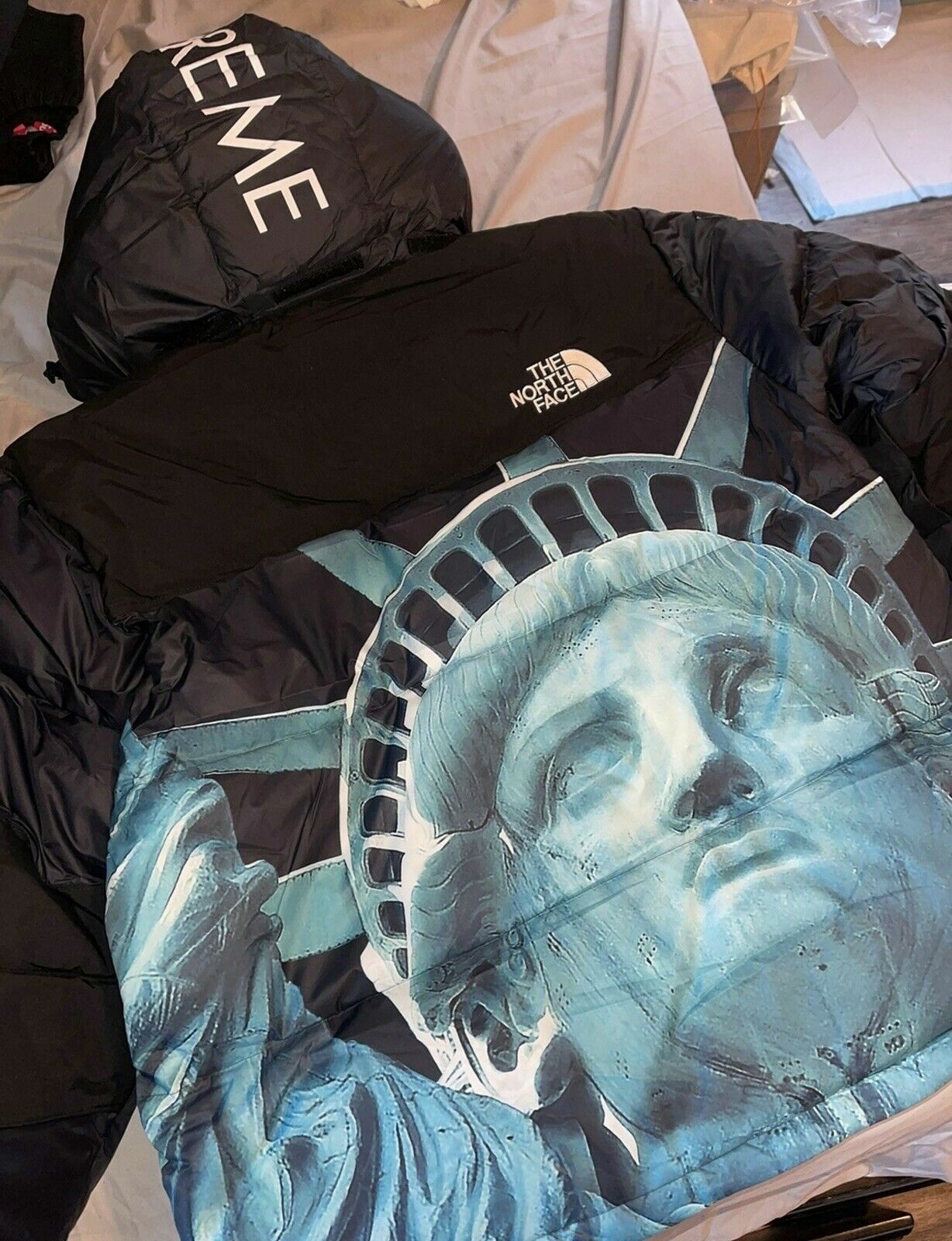 BRAND NEW SUPREME THE NORTH FACE STATUE OF LIBERTY BALTORO JACKET BLACK M FW19 BRAND NEW SUPREME THE NORTH FACE STATUE OF LIBERTY BALTORO JACKET BLACK M FW19