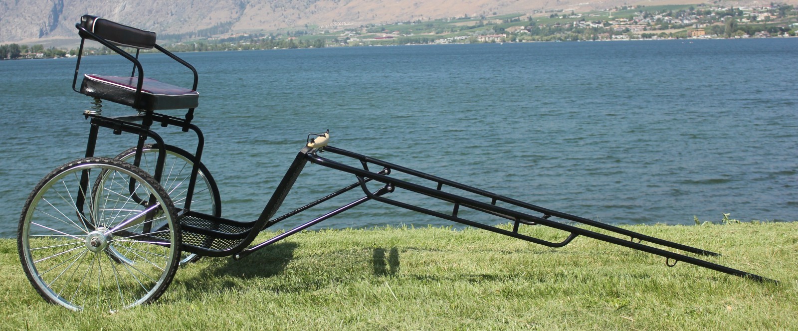 EZ Entry Horse Driving Buggy Cart, Fits 14.2-16 Hand Horse, Excellent