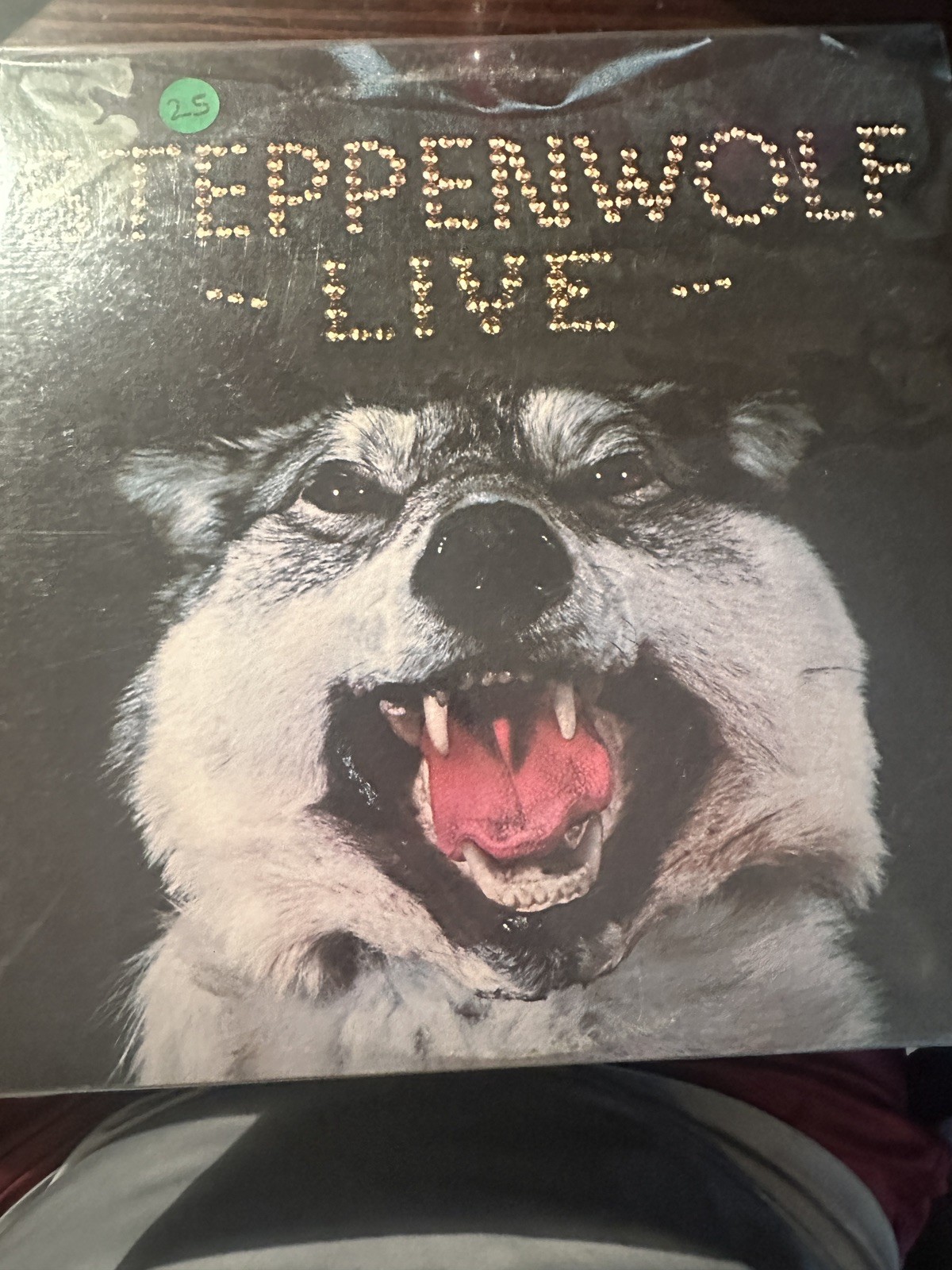 STEPPENWOLF LIVE; 1970 2-LP; ABC Dunhill DSD50075 STEPPENWOLF LIVE; 1970 2-LP; ABC Dunhill DSD50075