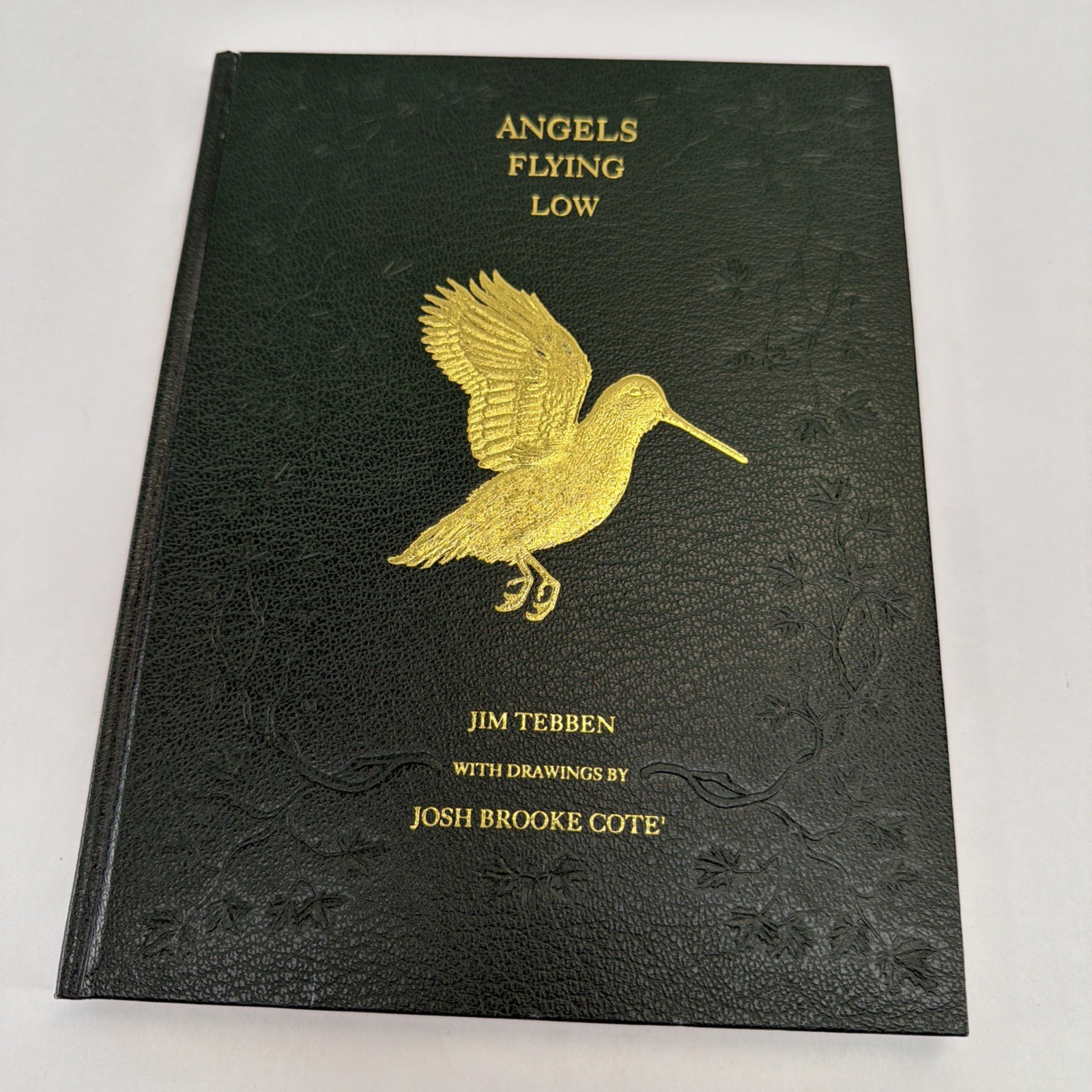 Angels Flying Low Signed by Jim Tebben/Josh Cote-Maple Brook Press Angels Flying Low Signed by Jim Tebben/Josh Cote-Maple Brook Press