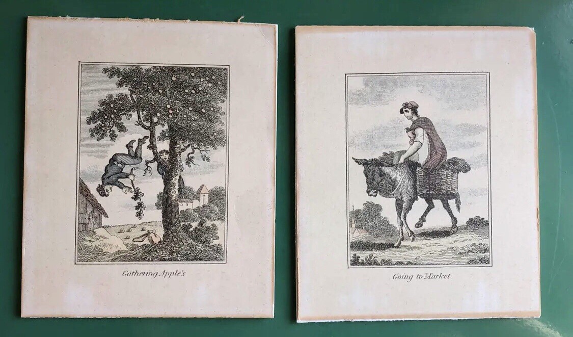 Antique Etchings Pair of Provincial Farm and Family Life 6” X 4.75” Humorous