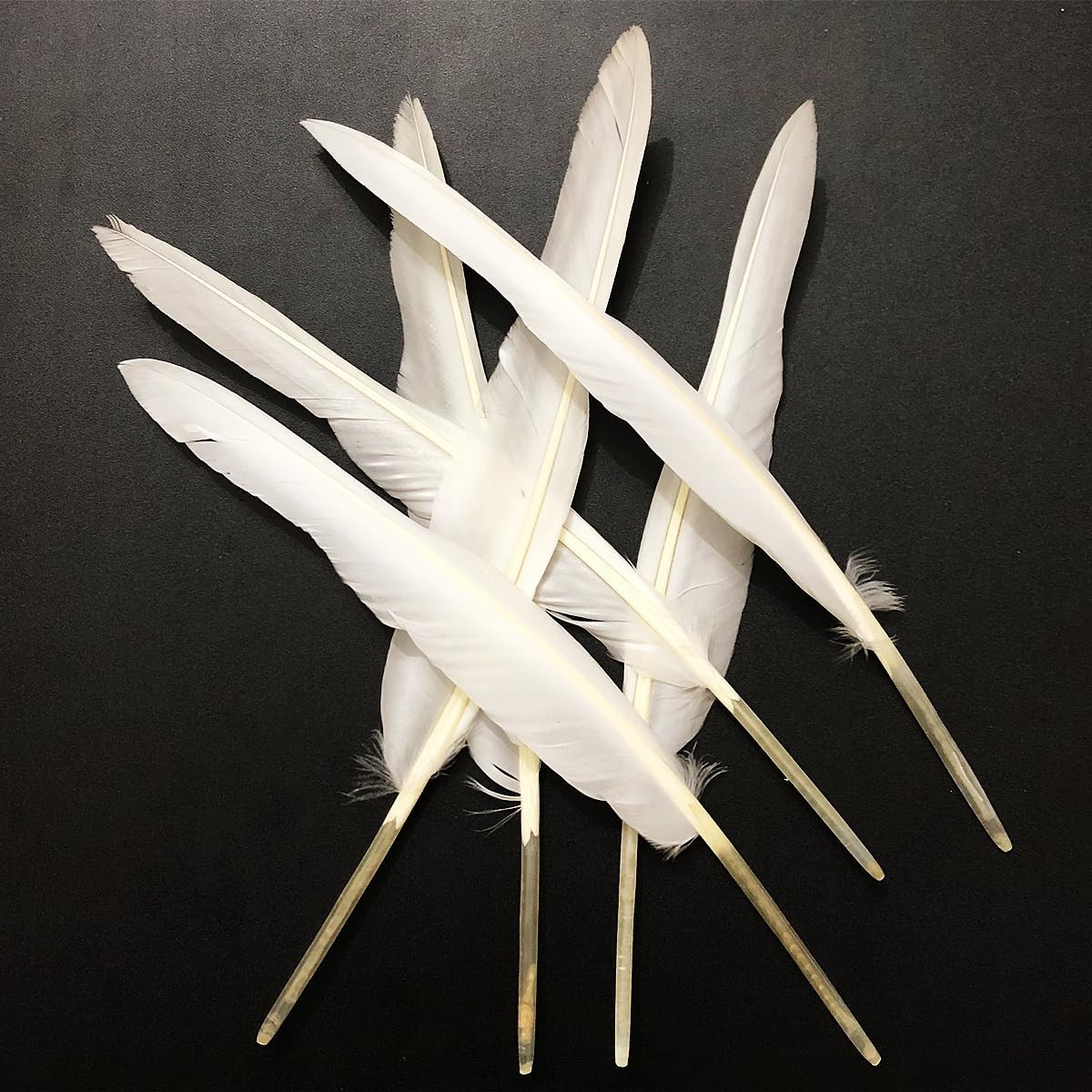 White Feathers 10-12in,30PCS Natural Long Goose Feather,Bulk Left and Right Wing