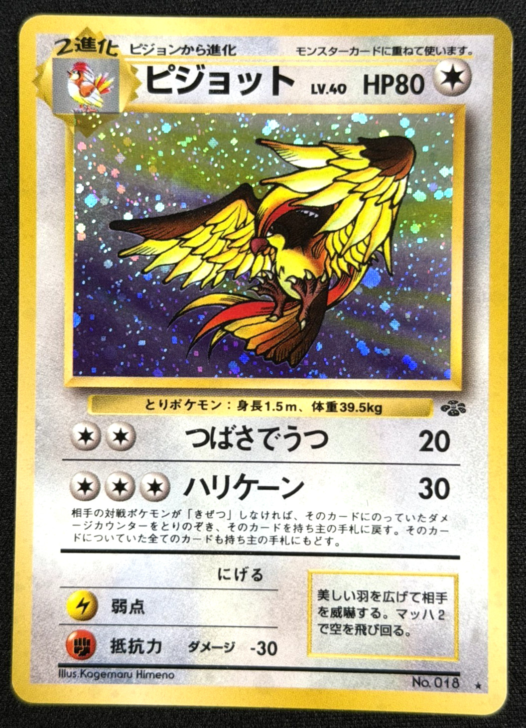 1997 Pokémon TCG • Pidgeot No.018 • Jungle Holo • Japanese A
