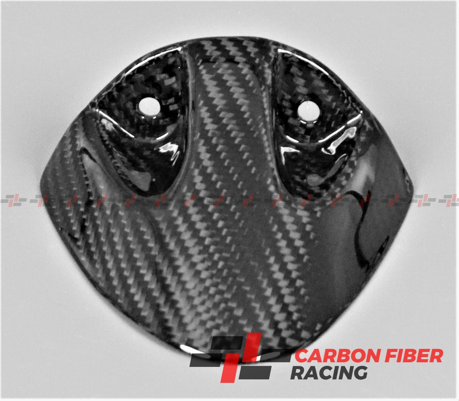 2006-2007 Kawasaki Ninja ZX-10R Rear Hugger - 100% Carbon Fiber