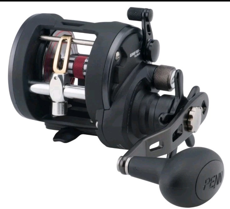 Penn Warfare WAR20LWLC Level Wind Conventional Reel New, Sealed. 