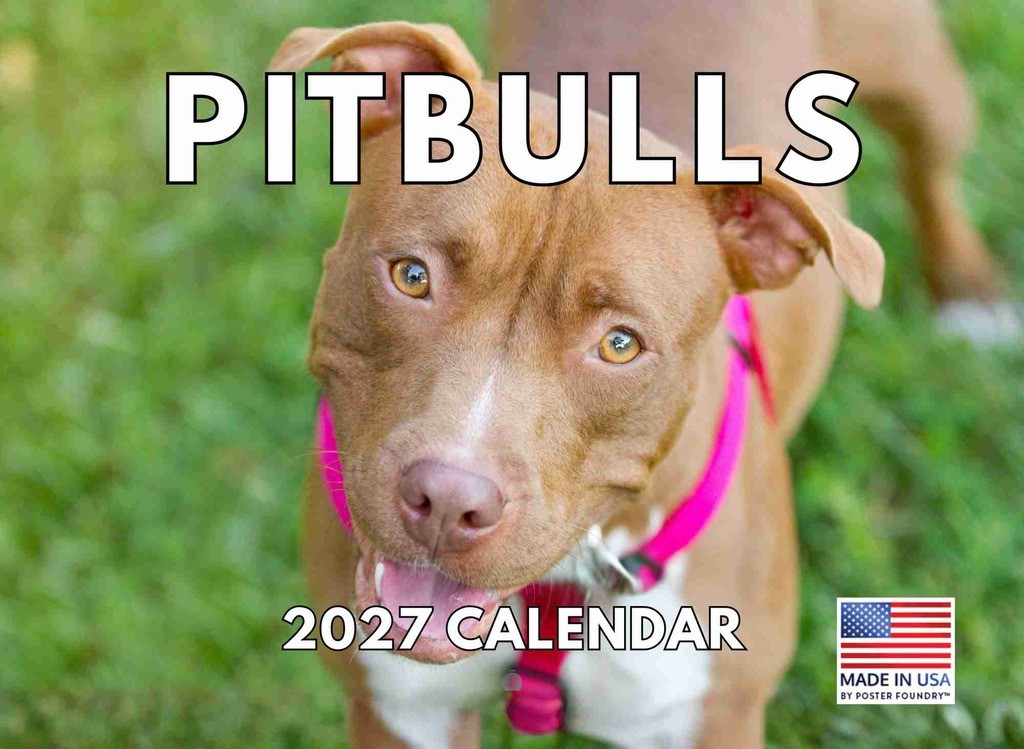 Pitbull Calendar 2027 Pit Bull Monthly Wall Calender 12 Month 12x18