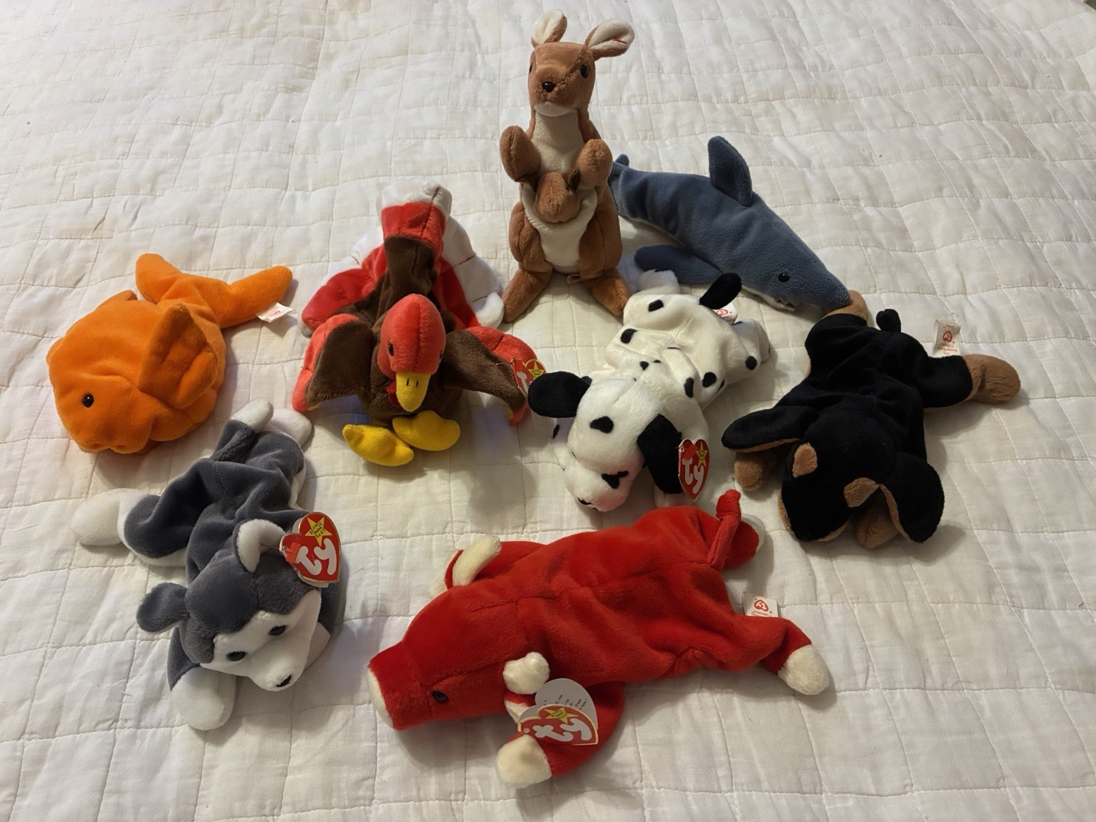 TY Beanie Baby Various Animals Lot Of 8 Plushes Retired Some Rare TY Beanie Baby Various Animals Lot Of 8 Plushes Retired Some Rare