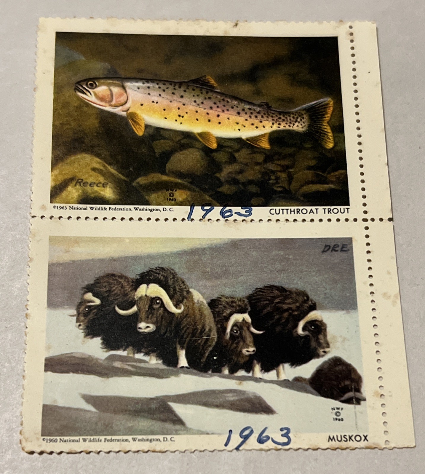 1960 & 1963 National Wildlife Federation Stamps - Cutthroat Trout And Muskox