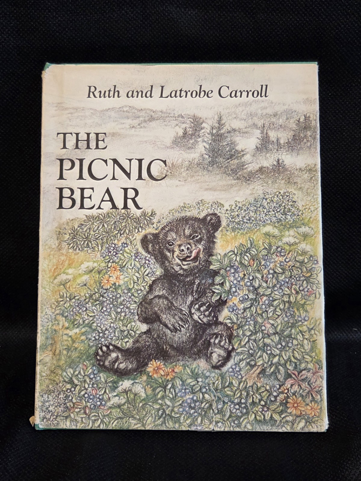 Vintage 1966 The Picnic Bear Hardcover Book Ruth Latrobe Carroll DJ 1st Edition