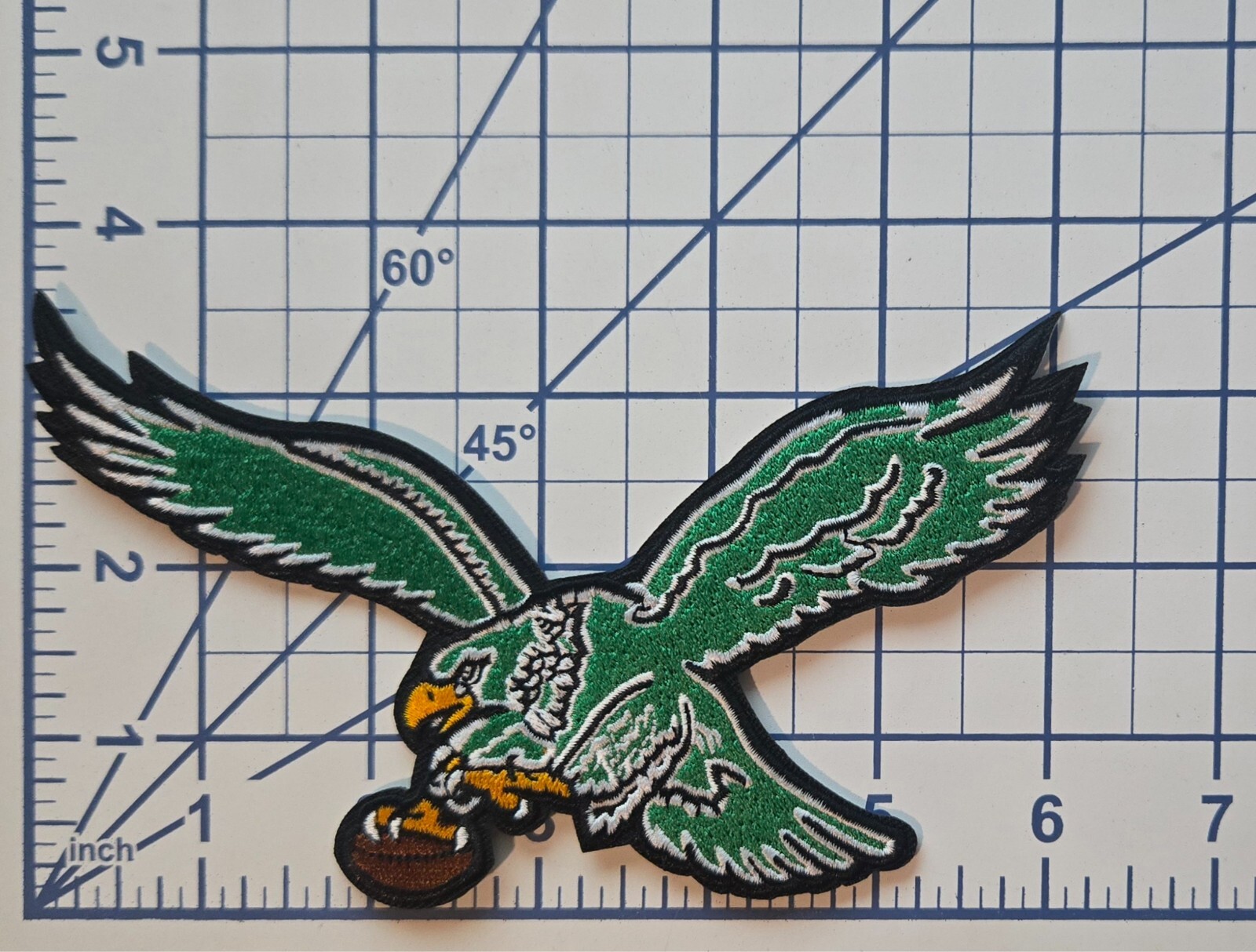 Philadelphia Eagles Flying Eagle 6\