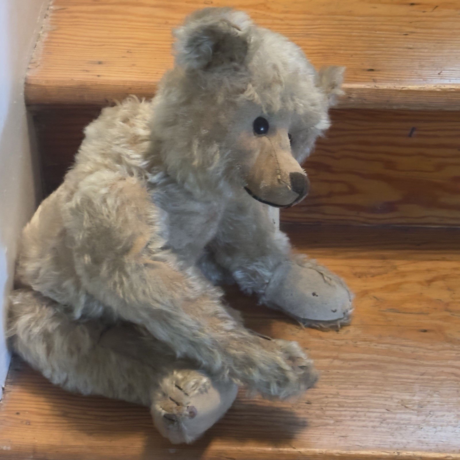 1915 Antique STEIFF Teddy Bear 20\