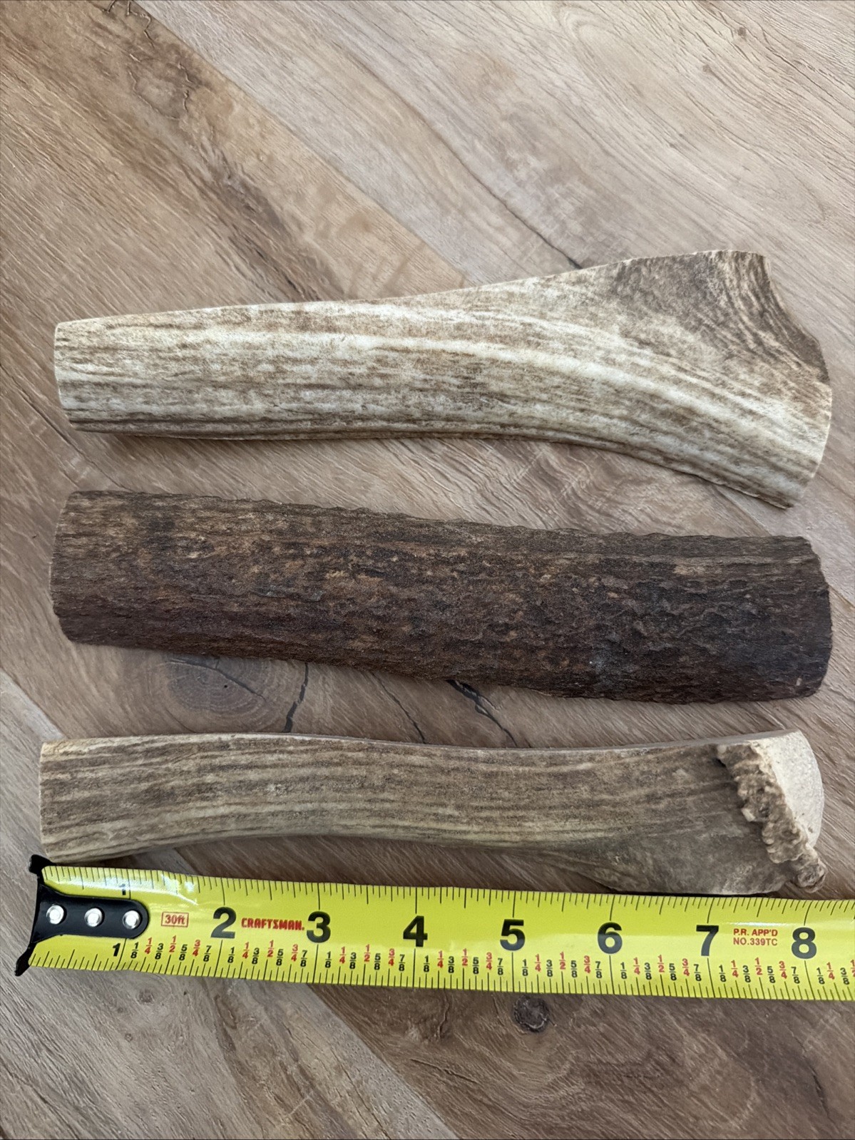 JUMBO Elk Antler Premium Dog Chew (1pc) Heartland Antlers 8 + Inch XL Grade A JUMBO Elk Antler Premium Dog Chew (1pc) Heartland Antlers 8 + Inch XL Grade A