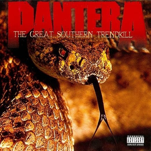 Pantera The Great Southern Trendkill Tapestry 4x4 ft Album Cover Art Banner Flag